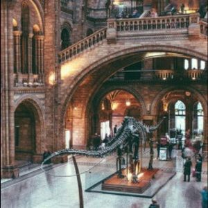 Meet your Posher, Kat